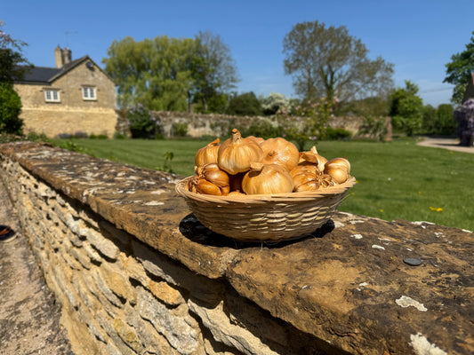 Smoked Garlic by Emberton Fayre