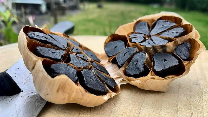 South West Garlic Farm – The Home of Award-Winning Black Garlic & Garlic Sea Salt