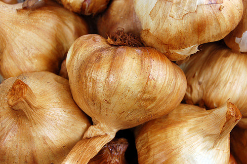 Emberton Fayre Garlic