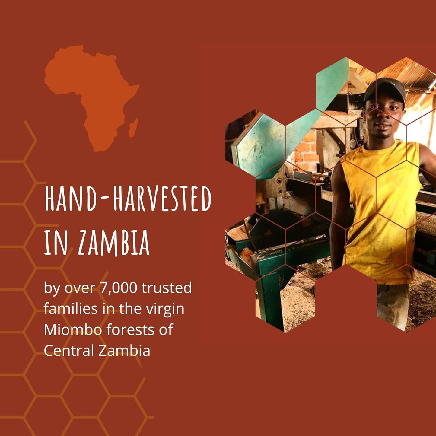 Zambian Pure Honey: Summer Harvest