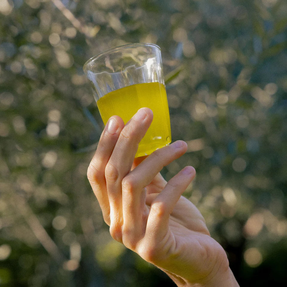 Oil: Extra Virgin Olive Honest Toil Bottle