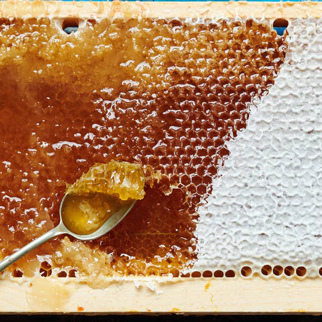 London Pure Honeycomb